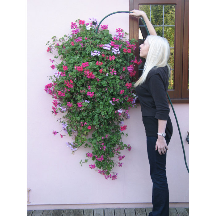 Symple Stuff Penman Plastic Wall Planter & Reviews Wayfair